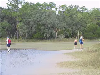 small_021019 hilton headIMG_9086.webp